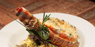 Vila Cinco promove Festival de Lagosta