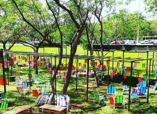 MimoBar reúne cultura e gastronomia em novo endereço