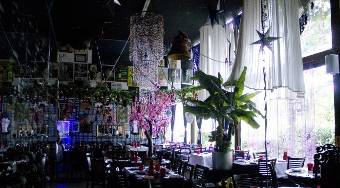 Restaurante Universal une samba e sabor em Bailinho de Carnaval