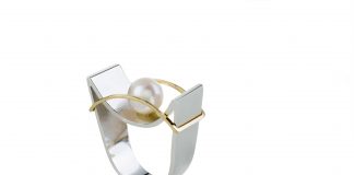 Marchand Virginia Antero realiza exposição em homenagem ao aniversário de Brasília