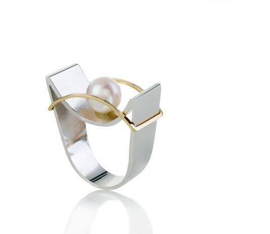 Marchand Virginia Antero realiza exposição em homenagem ao aniversário de Brasília