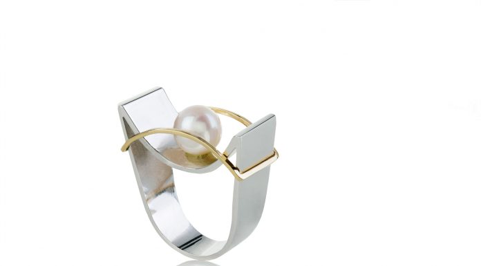 Marchand Virginia Antero realiza exposição em homenagem ao aniversário de Brasília