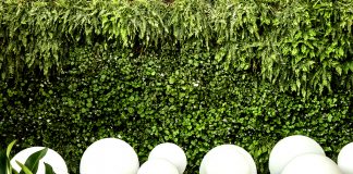 Mara Magalhães retorna à mostra CASACOR Brasília