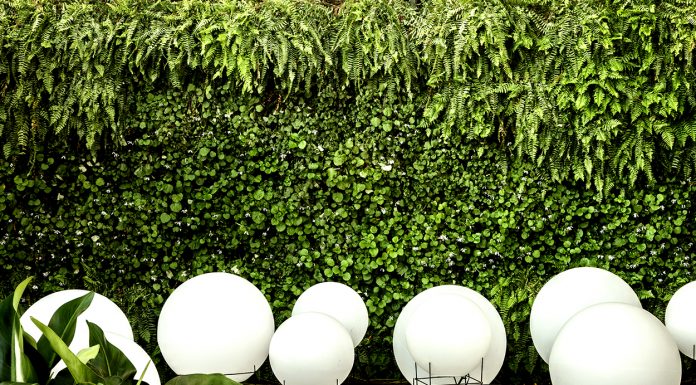 Mara Magalhães retorna à mostra CASACOR Brasília