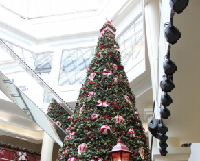 Papai Noel traz a magia do Natal para o Iguatemi Brasília