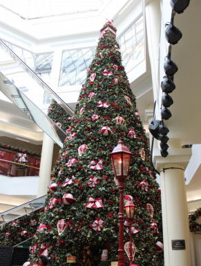 Papai Noel traz a magia do Natal para o Iguatemi Brasília