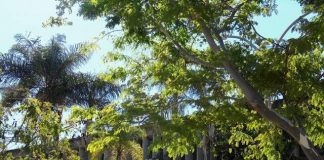 Evento une literatura, cultura e direito na UnB