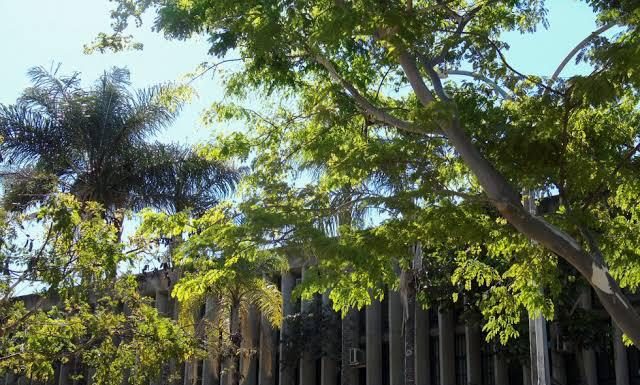 Evento une literatura, cultura e direito na UnB