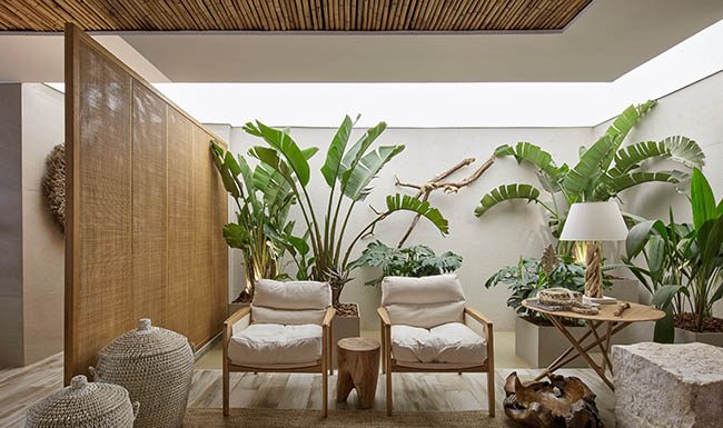 Madeira de reflorestamento é alma sustentável de espaço