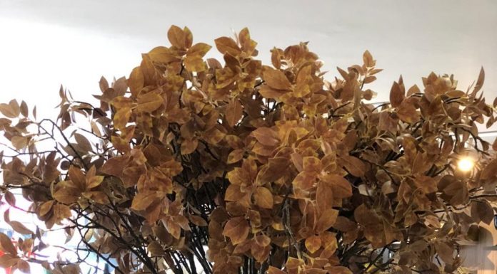 Arranjos de plantas e flores artificiais para decorar com praticidade