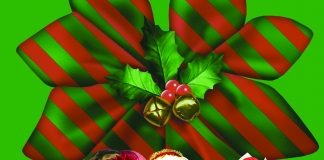 DF Plaza apresenta Contos de Natal com a Cia. Néia & Nando