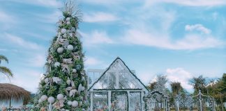 “Natal Mágico” no Pontão