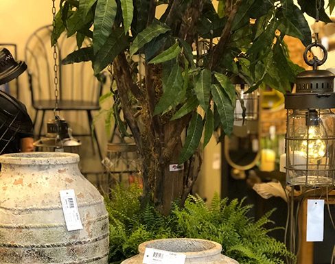 Empresária brasiliense confere grandes mostras nacionais