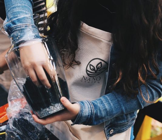 Nano Garden promove workshop sobre terrários