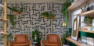 Plantas têm ganhado destaque na quarentena