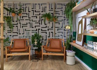 Plantas têm ganhado destaque na quarentena