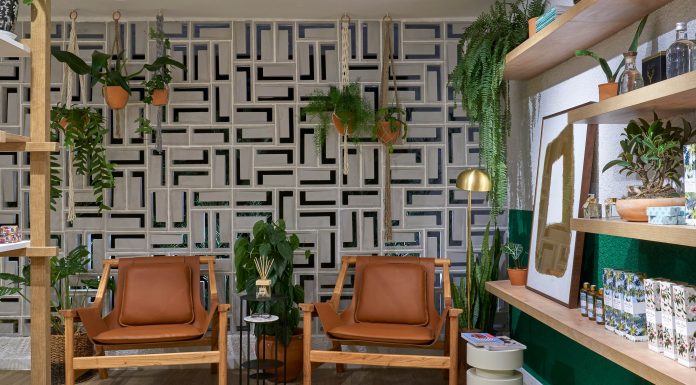 Plantas têm ganhado destaque na quarentena