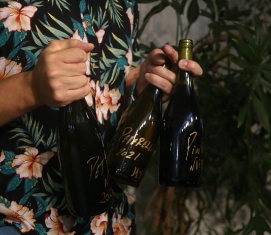 002Café e Carlos Sanabria promovem degustação de vinhos autorais