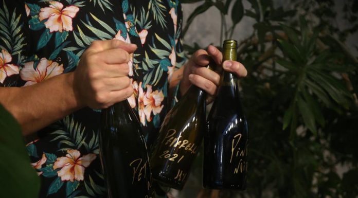 002Café e Carlos Sanabria promovem degustação de vinhos autorais