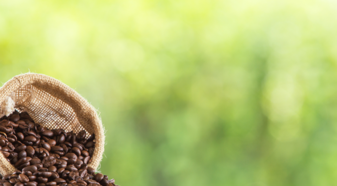 Dia Mundial do Café: especialista dá dicas de uso do fruto