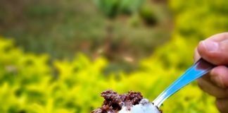 Gelato Dona Zuca traduz força, solidariedade e inspiração para empresas