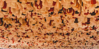 Bosque Park Experience promove música ao vivo durante toda semana