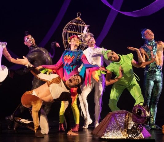 Novo espetáculo infantil da Focus Cia de Dança ganha apresentações em Brasília