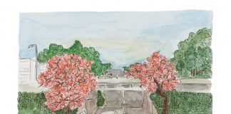 Arte e poesia visual: conheça o calendário 2023 de Carmen San Thiago