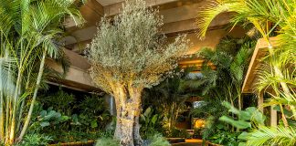 Depieri Paisagismo dá as boas-vindas à CASACOR Brasília