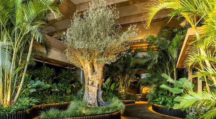 Depieri Paisagismo dá as boas-vindas à CASACOR Brasília