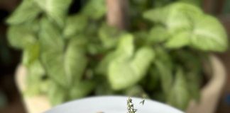 Pasta Week celebra o dia do macarrão