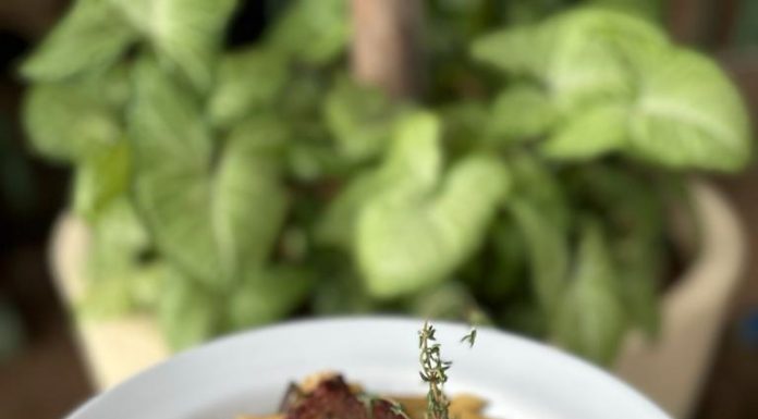 Pasta Week celebra o dia do macarrão