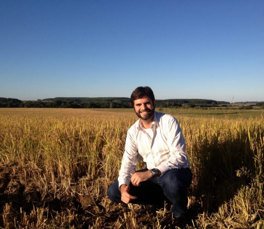 Empresário de Miami lança plataforma para reflorestar a Amazônia