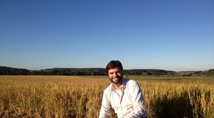 Empresário de Miami lança plataforma para reflorestar a Amazônia