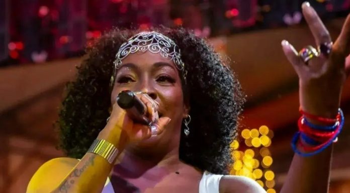 Sustentabilidade e cultura: Festival Afro Verde