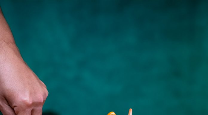 Conheça o Zé Torresmo