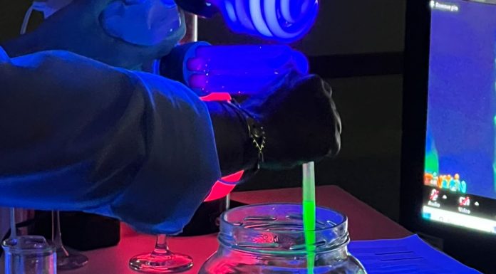 Oficina-show e aulas de desenho celebram Dia das Crianças e aniversário do CCBB