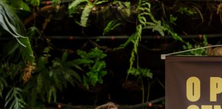 Brasília recebeu o lançamento do novo livro de Leticia Mello